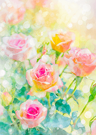 Beautiful rose flower(R2712)