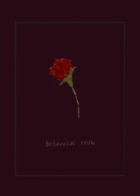 botanical rose -classic-