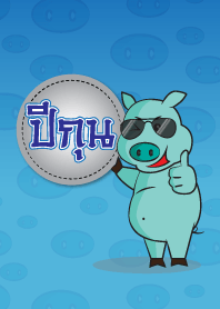 Years of the Pig