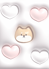 Greige Fluffy Shiba Inu 02_1