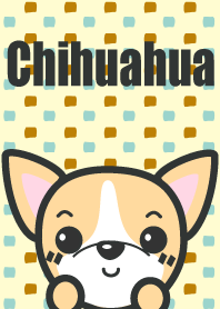 Kawaii Chihuahua