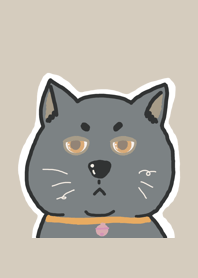 My fat cat 2