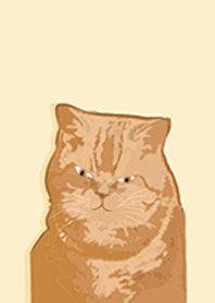 ornge cat