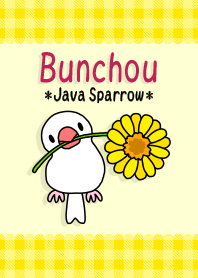Java Sparrows