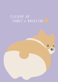 CLOSEUP OF CORGI's BACKSIDE/PURPLE