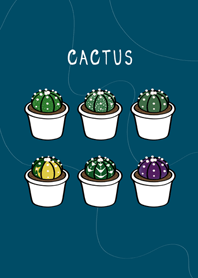 可愛兜仙人掌！(神秘青藏色)