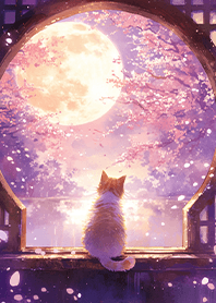 窓辺で桜の満月を楽しむオレンジ色の猫❤️