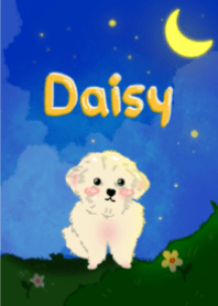 Daisy Dog1