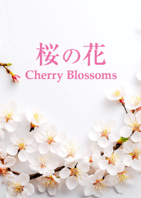 桜の花 vol.10