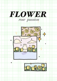 flower rose passion