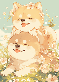 ⭐️盛開花海裡的微笑柴犬❤️