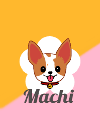 Prince Machi is Chihuahua_pink