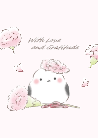 Shimaenaga&Carnation:pink