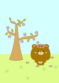 Brown baby bear