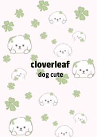 cloverleaf dog cute 2