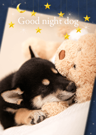 Good night dog Shiba inu