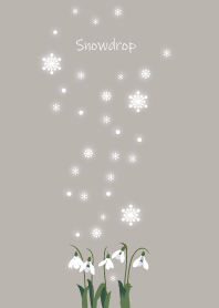 January's birth flower,Snowdrop