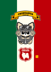 Chihuahua Black and Tan