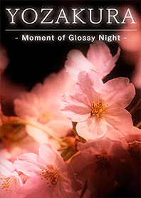Cherry blossoms at Deep night