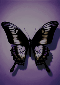 Simple beauty spread wings butterfly 9