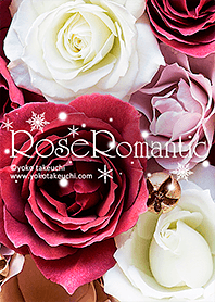 Rose Romantic～ウインターローズきせかえ