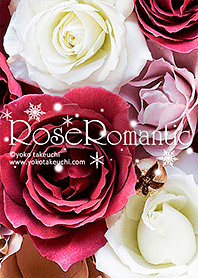 Rose Romantic "Winter season"
