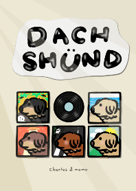 可愛臘腸狗在黑膠唱片的封面裡