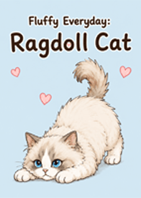 Fluffy Everyday : Ragdoll cat face