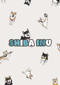 shibainu3 / light beige