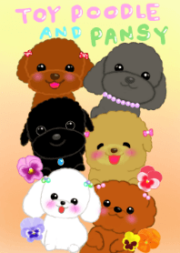TOY POODLE♡PANSY
