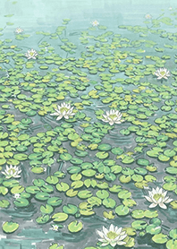 Lucky charm of water lily