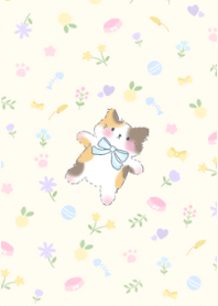 cute little cat.