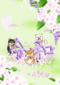 柴犬と令和（万葉集の梅の宴）