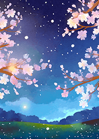 Beautiful night cherry blossoms#1092