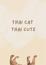 THAI CAT THAI CUTE