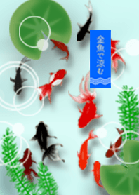 Fish bowl *