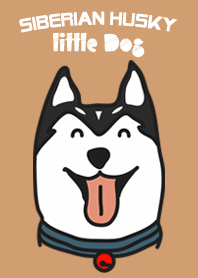 Siberian Husky little Dog