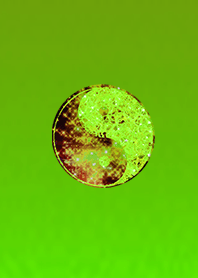 Good luck Yin and yang figure gold green