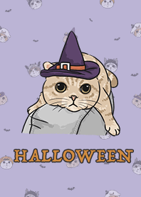 meow's halloween / violet