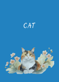 Calico cat on blue