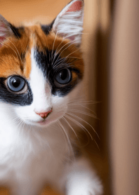 Nyanko Great Runaway#BIVAI313.