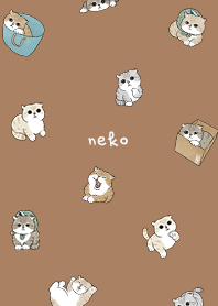 neko combo5 - caramel
