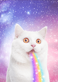 【 宇宙猫 】驚き顔ver 2