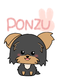 ぽんずとうさぎ