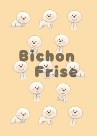 Bichon Frise illustration costume change