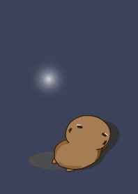 staring - light