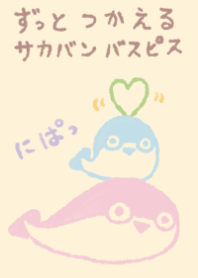 sacabambaspis zutto milky