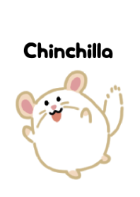 Cute chinchilla theme 3
