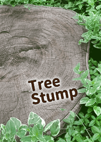 ＊癒しの切り株＊自然の温もり