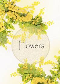 Mimoza flowers wrapped in kindness3.